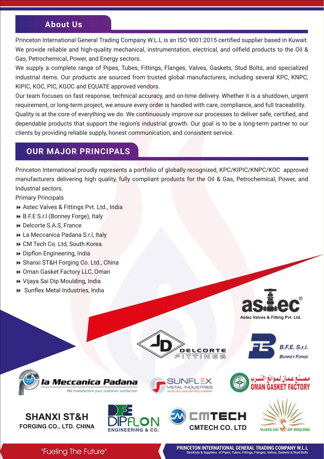 Princeton GTC Company Profile — page 2 of 16