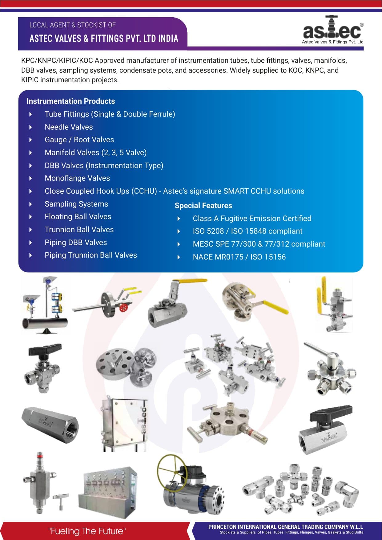 Princeton GTC Company Profile — page 10 of 16
