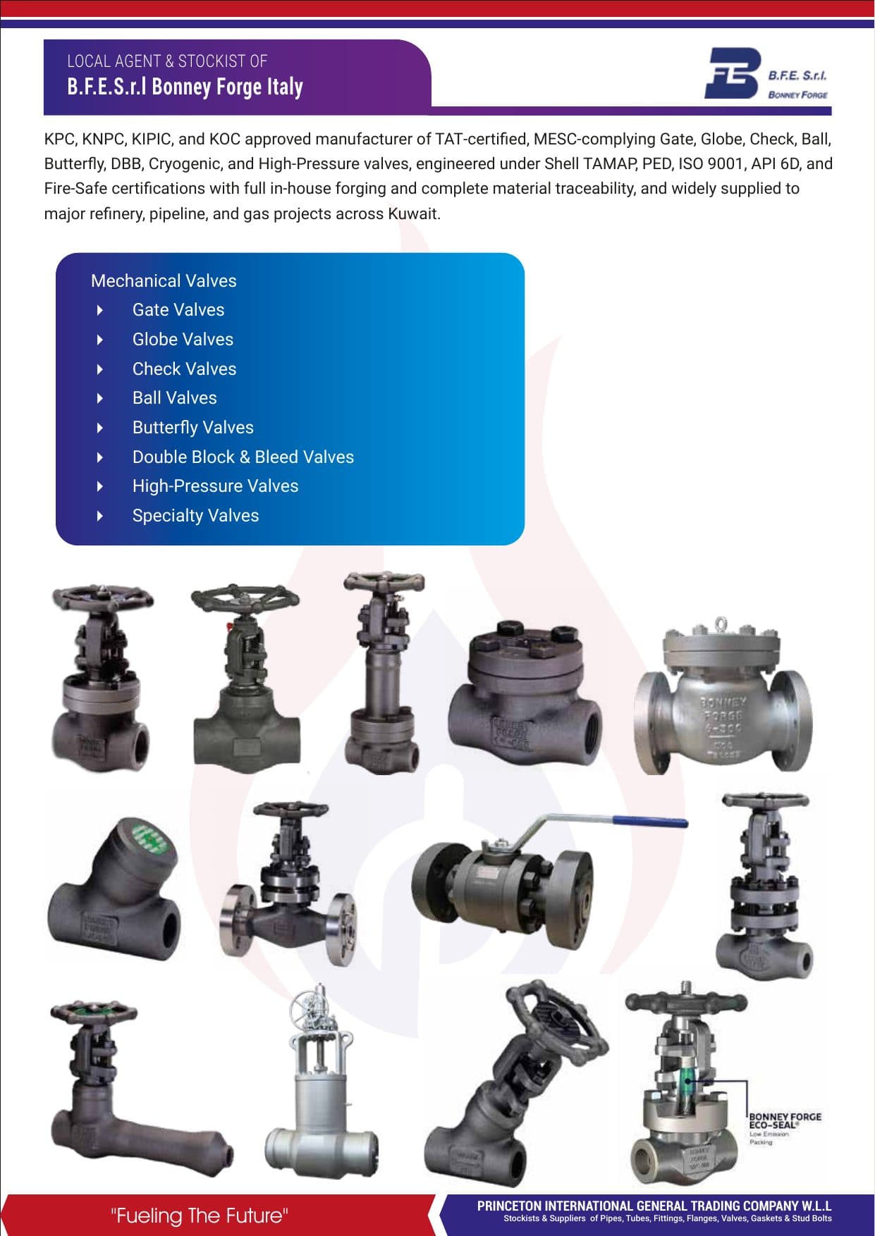 Princeton GTC Company Profile — page 12 of 16
